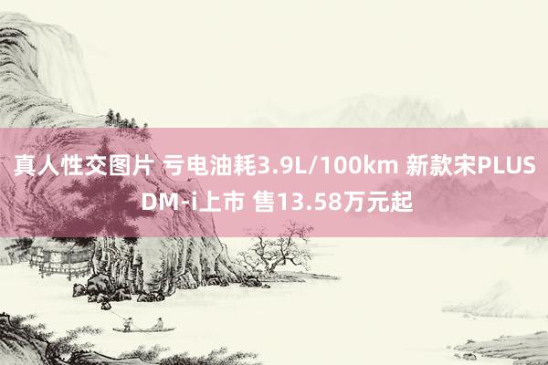 真人性交图片 亏电油耗3.9L/100km 新款宋PLUS DM-i上市 售13.58万元起