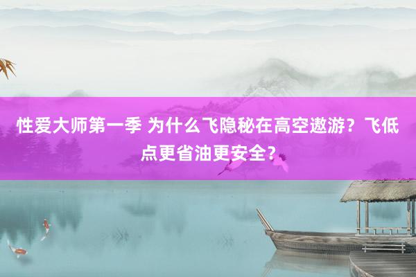 性爱大师第一季 为什么飞隐秘在高空遨游？飞低点更省油更安全？