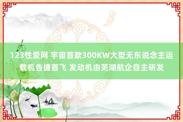 123性爱网 宇宙首款300KW大型无东说念主运载机告捷首飞 发动机由芜湖航企自主研发