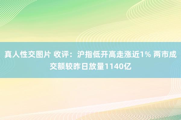 真人性交图片 收评：沪指低开高走涨近1% 两市成交额较昨日放量1140亿
