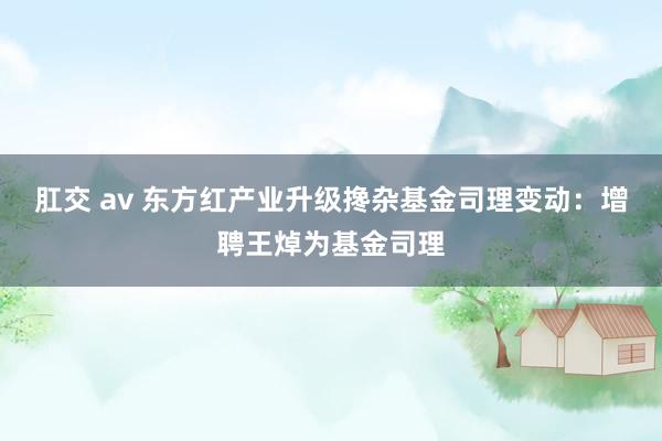 肛交 av 东方红产业升级搀杂基金司理变动：增聘王焯为基金司理