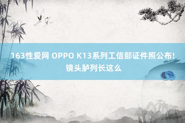 163性爱网 OPPO K13系列工信部证件照公布! 镜头胪列长这么