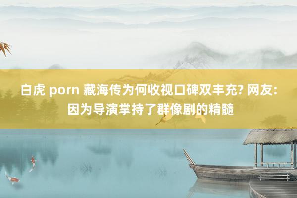 白虎 porn 藏海传为何收视口碑双丰充? 网友: 因为导演掌持了群像剧的精髓